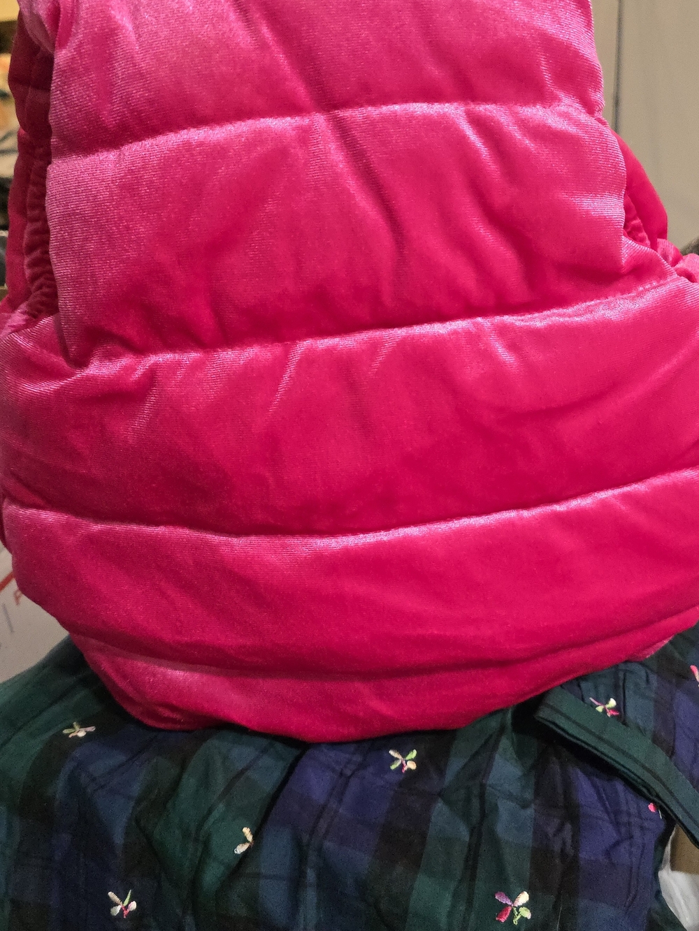 Gymboree Vest - Picture 3 of 3